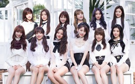 Mới ra mắt ở Nhật, IZ*ONE đạt thành tích khủng mà BLACKPINK hoạt động 2 năm còn chưa có