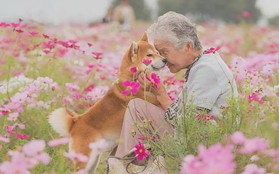 Bộ ảnh đầy cảm xúc của cụ bà Nhật Bản và chú cún con: Khi về già, chỉ cần một người đồng hành đáng yêu thế này thôi!