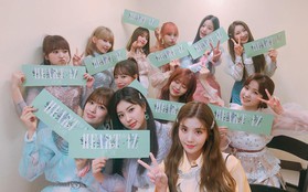 IZ*ONE gia nhập đường đua Kpop tháng 4 bằng MV bắt mắt và đã tai, nhưng thua BLACKPINK khoản này