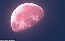 Hết trăng xanh, trăng máu, giờ hãy chuẩn bị ngắm "trăng hồng" sẽ diễn ra ngay tối mai đi