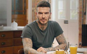 Sốc với Beckham "bắn" 9 ngoại ngữ thành thạo, tưởng ngầu mà giả mạo đến rùng mình