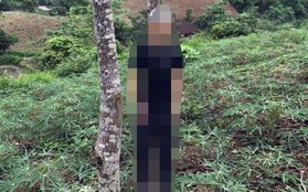 Thủ phạm chém hai người em vợ tử vong ở Yên Bái đã treo cổ tự sát trong rừng