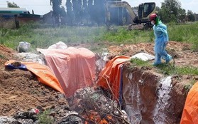 Đồng Nai: Phát hiện hơn 4 tấn thịt heo đông lạnh nhiễm dịch tả heo châu Phi