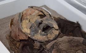 Ngạc nhiên chưa: Những xác ướp cổ nhất thế giới không phải của người Ai Cập