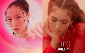 Somi và Lee Hi đều được nhá hàng tái xuất nhưng xuất hiện chi tiết làm công chúng nghĩ ngay đến... Jennie (BLACKPINK)