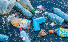 Phát hiện mới này có thể sớm khiến rác nhựa trên đại dương "bay màu" như búng tay bằng Găng Vô Cực trong Endgame