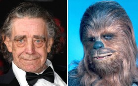 Diễn viên đóng vai Chewbacca huyền thoại trong Star Wars qua đời ở tuổi 74