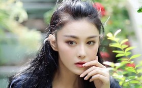 Vì đâu Trương Hinh Dư im hơi lặng tiếng sau khi sinh con, không bon chen showbiz như Triệu Lệ Dĩnh - Lưu Thi Thi?