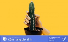 Vì sao hội con trai hay gặp tình trạng "cậu bé phấn chấn" vào mỗi buổi sáng?