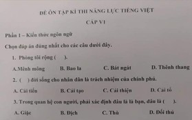 Xuất hiện đề thi Tiếng Việt dành cho người Nhật siêu khó và rất dễ nhầm lẫn khiến dân mạng nhiều người bó tay