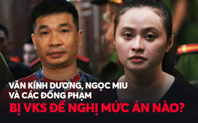 Toàn bộ tội danh cùng mức án mà ông trùm ma tuý Văn Kính Dương, hotgirl Ngọc Miu và các đồng phạm bị VKS đề nghị xử phạt