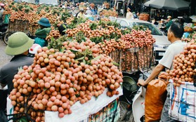 Chùm ảnh: Người dân Bắc Giang ùn ùn đi bán vải, đường phố ùn tắc hàng km