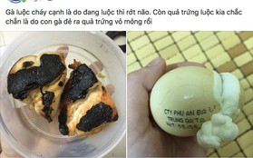 Đang nấu ăn thì... "rớt mất não", cô gái có luôn món gà luộc cháy cạnh và trứng luộc bung bét