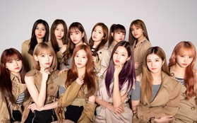 Không như TWICE, thành tích của IZ*ONE ở Nhật giảm nhưng hơn Red Velvet vì fan "đọ album không đọ view"