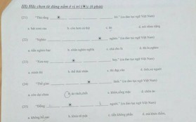 Đề thi Tiếng Việt thử tài ca dao tục ngữ dành cho người nước ngoài khiến dân mạng vò đầu bứt tai không làm được