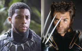 Vibranium VS. Adamantium: Đâu là hợp kim bá đạo nhất vũ trụ siêu anh hùng Marvel?