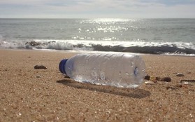 Câu chuyện cuộc đời của 3 chiếc chai nhựa: Tùy vào cách hành xử của bạn, Trái đất sẽ có những cái kết khác nhau
