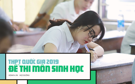 Đề thi môn Sinh học THPT quốc gia 2019: Khó và dài hơn năm 2018