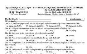 Đề thi tham khảo THPT Quốc gia 2019 tổ hợp Khoa học tự nhiên: Vật lý, Hoá học, Sinh học