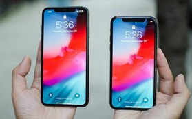 Đây là bằng chứng cho thấy iPhone XS và XS Max đang "ế chỏng ế chơ"