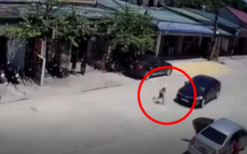 Clip: Mải chạy theo người lớn sang đường, bé trai bị ô tô con hất văng nhiều mét