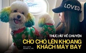 Dân mạng chia phe tranh cãi "nảy lửa" với câu chuyện mang thú cưng lên máy bay của cô bạn đến từ Sài Gòn