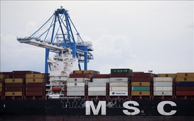 Mỹ bắt giữ tàu chở 20 tấn cocain liên quan 'đại gia' JPMorgan Chase