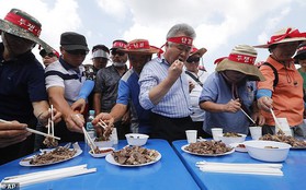 Hàn Quốc: Vừa thấy nhóm biểu tình phản đối ăn thịt chó, chủ trại chó mở tiệc ngay bên cạnh để 'khiêu khích'