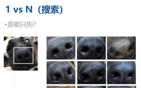 Trung Quốc đã có công nghệ nhận diện chó bằng... vân mũi: Vừa giúp tìm "boss" đi lạc, vừa phạt chủ thiếu văn minh