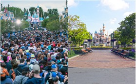 Bất ngờ trước cảnh tượng “vắng như chùa bà đanh” của công viên Disneyland nổi tiếng thế giới, nguyên nhân do đâu?