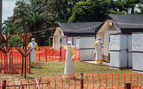 WHO tuyên bố dịch Ebola là vấn đề y tế khẩn cấp toàn cầu