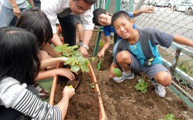 Những điều khiến trẻ em Nhật Bản có sức khỏe tốt nhất thế giới, người lớn cũng nên học tập