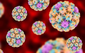 HPV - Virus lây qua đường tình dục phổ biến nhất hiện nay nhưng không phải ai cũng biết rõ về nó