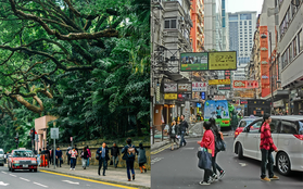 Bất ngờ chưa? Ở Hong Kong có 3 con đường mang tên Hà Nội, Sài Gòn và Hải Phòng này!