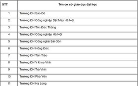 Nóng: 45 trường Đại học bị đề nghị dừng tuyển sinh hệ cao đẳng kể từ năm học tới!