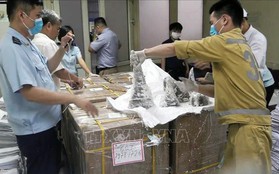 Phát hiện hơn 125kg sừng tê giác vận chuyển qua cửa khẩu sân bay quốc tế Nội Bài