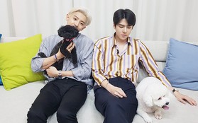 Phá kỉ lục các nhóm nhỏ thuộc Super Junior và GOT7 năm 2019 nhưng EXO-SC vẫn thua đau Baekhyun