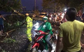 Hà Nội: Cây xanh ngã đổ giữa đường, đè trúng hai người phụ nữ đi xe máy