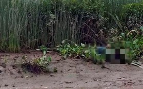 Hà Tĩnh: Phát hiện thi thể bé trai 8 tuổi bên bờ sông