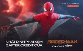 KHÔNG SPOIL: Nhất định phải coi after credit 2 của FAR FROM HOME, nếu không xem như "vứt" cả bộ!