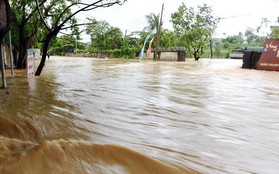 Mưa lớn vỡ kênh, nhiều hộ dân ở Nghệ An bị nhấn chìm trong nước
