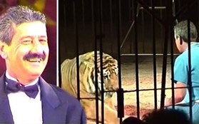 Nhà huấn luyện thú nổi tiếng thế giới bị 4 con hổ vồ chết, đồng nghiệp đứng nhìn 30 phút mà không thể cứu được