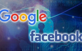Google và Facebook đang hút hết chất xám khỏi châu Âu