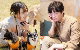 Cặp đôi "hack tuổi" đỉnh nhất Kbiz Goo Hye Sun và Ahn Jae Hyun: Nhìn loạt ảnh gần đây, ai nghĩ chồng đã 32, vợ U40?