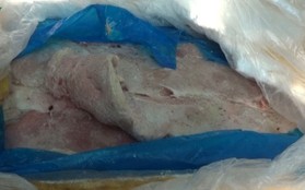 Tiêu hủy hơn 500kg nầm lợn đông lạnh nhập lậu