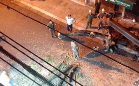 Hà Nội: Nhiều người tiếc nuối khi cây sưa lớn bất ngờ bị chặt hạ trong đêm