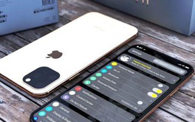 5 lần iPhone "chơi lớn" để ta giật mình chuếnh choáng: Khi tốt thì hay, khi lung lay thì... đành chịu