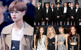 Phát ngôn gây chú ý của cựu thành viên Wanna One: "Tiền bối BTS và BLACKPINK là những nghệ sĩ mở đường tại đất Mỹ"