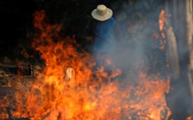 Tại sao rừng Amazon cháy đến tận 3 tuần chúng ta mới nhận ra sự việc đã trở nên nghiêm trọng đến mức nào?