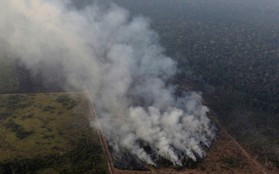Tổng thống Brazil huy động quân đội dập tắt cháy rừng Amazon